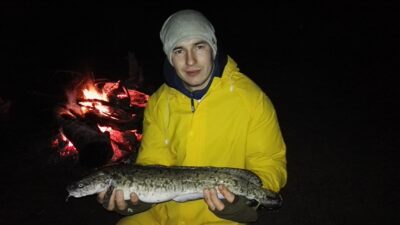Burbot — Neman River
