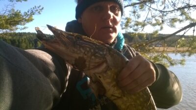 Northern Pike, 2.0 kg — Tunevannet