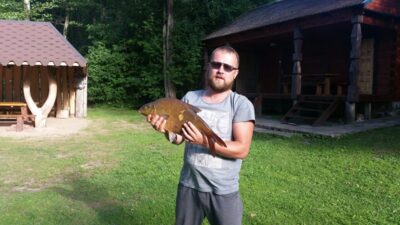 Carp bream, 3.6 kg