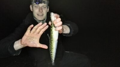 Burbot — Neman River