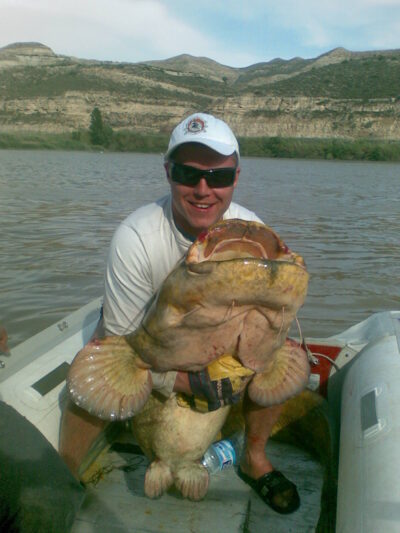 Wels catfish, 105.0 kg — Ribarroja
