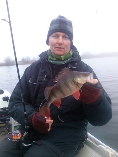 Eurasian perch, 0.6 kg — Vaidatonių