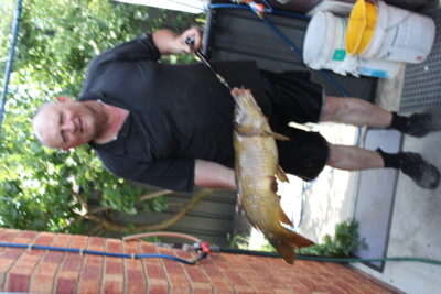 Carp, 2.4 kg