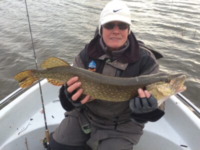 Northern Pike, 3.1 kg
