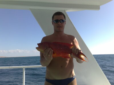 , 1.5 kg — Red Sea