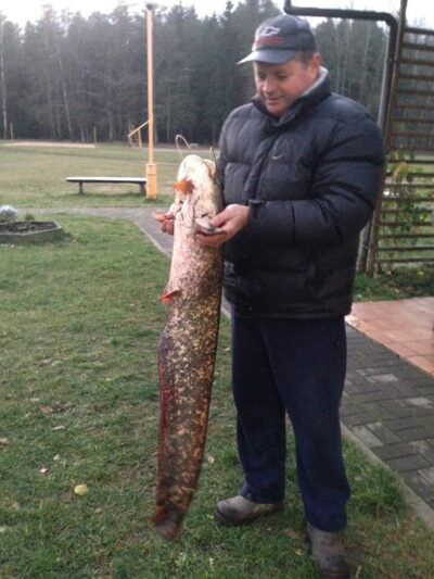 Wels catfish, 9.8 kg