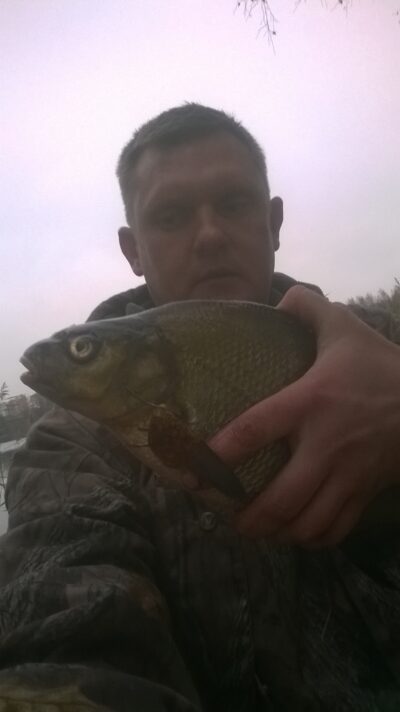 Carp bream — Gondingos HE