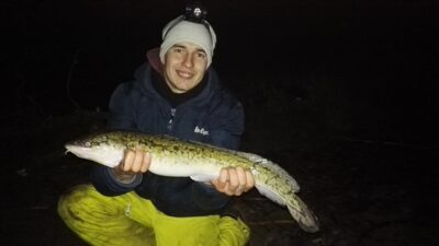 Burbot — Neman River