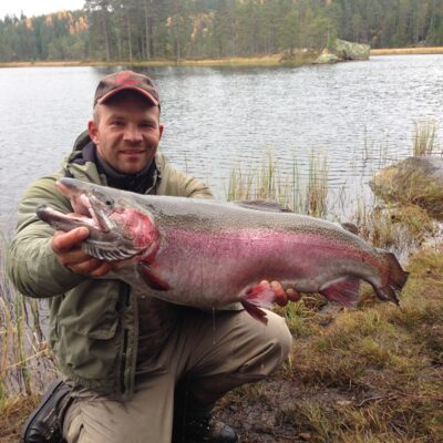 Ocean Trout, 6.9 kg — Fisklösen