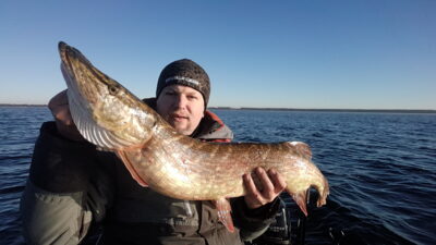 Northern Pike, 7.7 kg