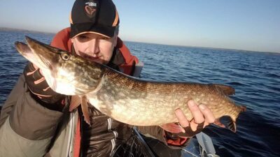 Northern Pike, 3.7 kg