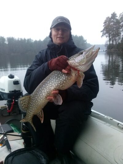 Northern Pike, 5.0 kg — Grūda