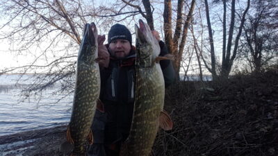 Northern Pike