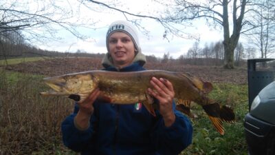 Northern Pike, 4.5 kg