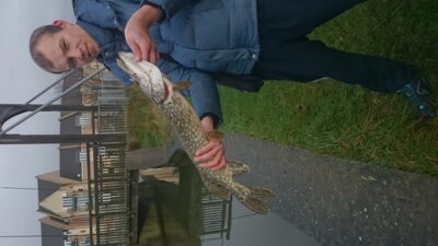 Northern Pike, 1.8 kg