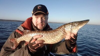 Northern Pike, 2.5 kg
