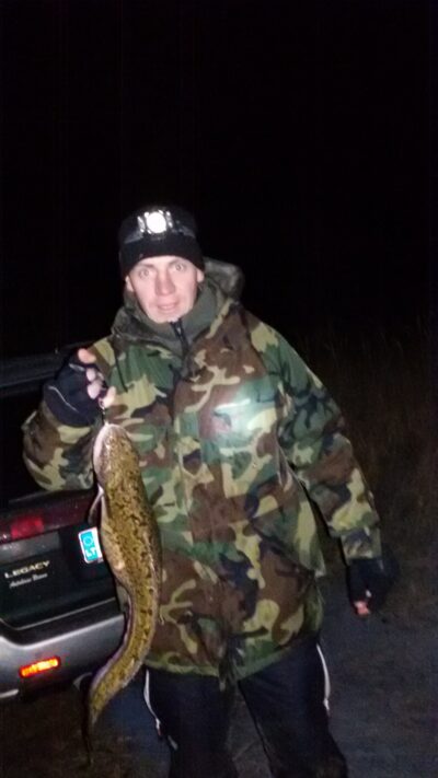 Burbot, 2.5 kg — Neman River