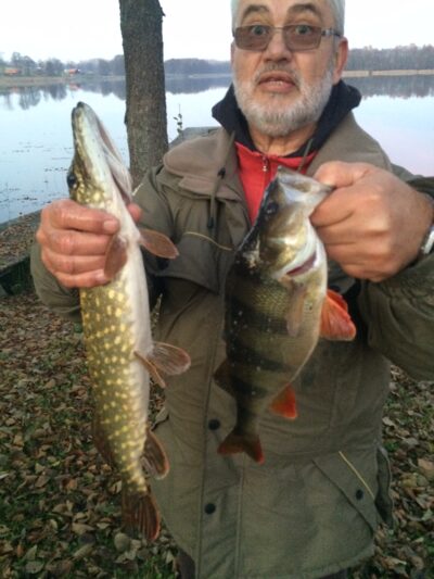 Northern Pike