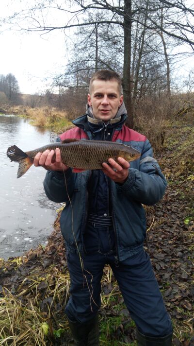 chub, 2.2 kg