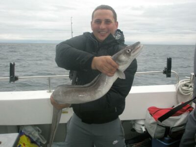 Conger eel