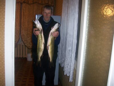 Northern Pike — Mūša