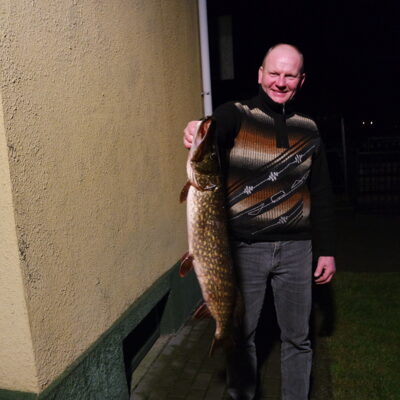 Northern Pike, 3.3 kg — Mastis