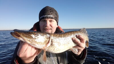 Northern Pike, 2.3 kg