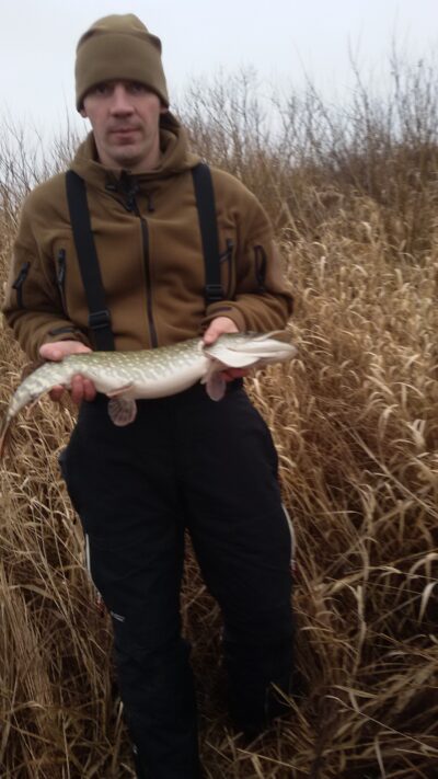 Northern Pike, 1.9 kg — Merguva