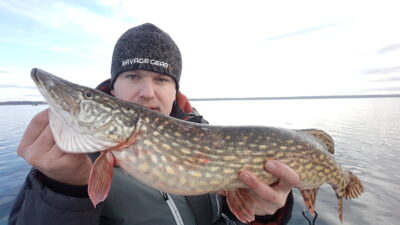Northern Pike, 2.9 kg