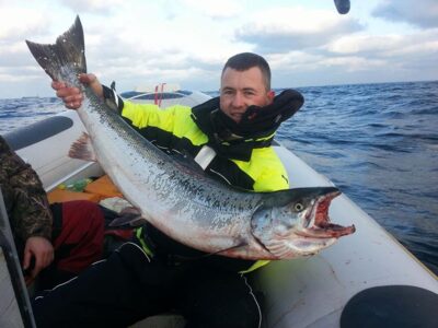 Atlantic salmon, 9.2 kg — Baltic Sea