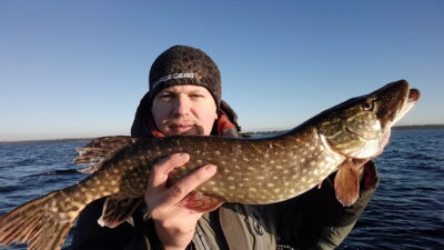Northern Pike, 3.2 kg