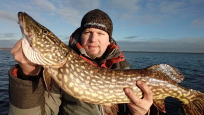 Northern Pike, 4.3 kg