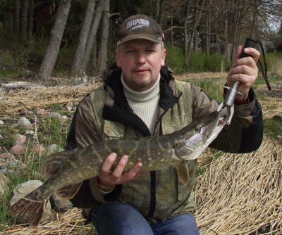 Northern Pike, 1.8 kg