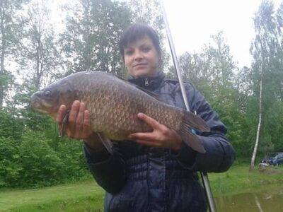 Sidabrinis karosas, 1.7 kg
