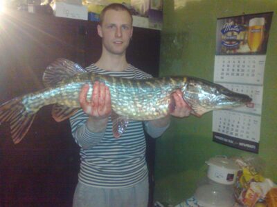 Northern Pike, 3.7 kg — Spalis