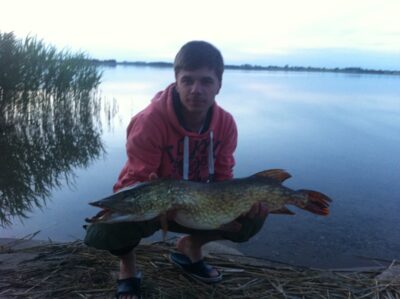 Northern Pike, 5.5 kg — Metelys