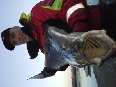 Turbot, 15.0 kg