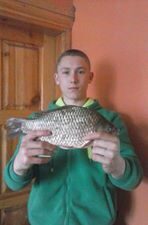 Prussian carp ×4