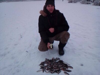 Eurasian perch ×50 — Talkša