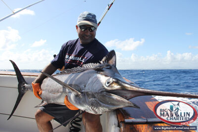 Atlantic blue marlin, 77.2 kg