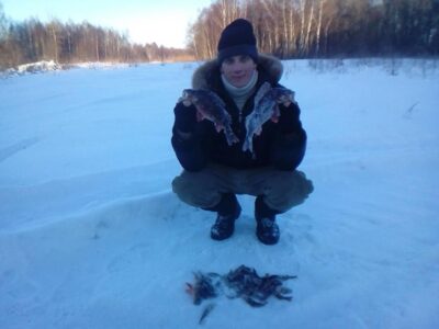Eurasian perch ×30 — Sulinkių
