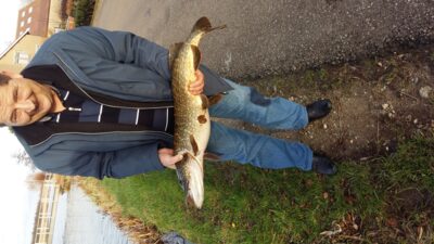 Northern Pike, 4.9 kg