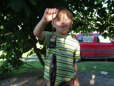 Eurasian perch, 0.4 kg — Skuistas