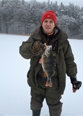 Eurasian perch, 1.2 kg