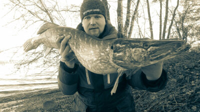 Northern Pike, 7.5 kg