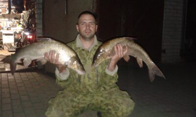 Barbel — Neman River
