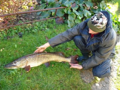 Northern Pike, 9.5 kg