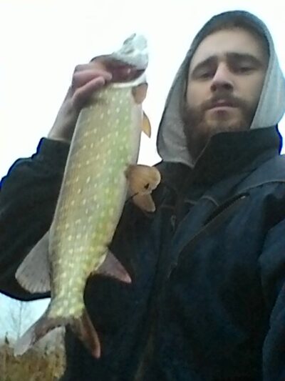 Northern Pike, 2.6 kg