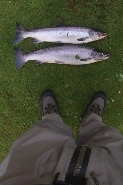 Atlantic salmon, 3.9 kg — Loch Tay