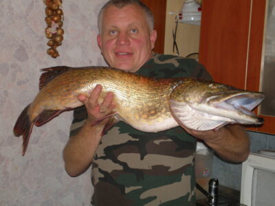 Northern Pike, 9.0 kg — Ežerėlis